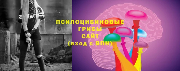 МДМА Богородицк