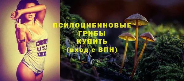 МДМА Богородицк