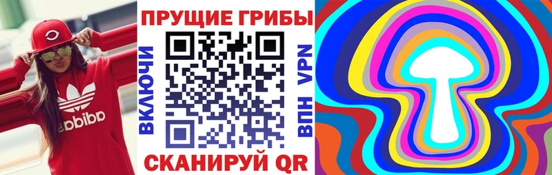 гидра онион  Дивногорск  Галлюциногенные грибы ЛСД  наркошоп 